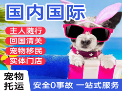 黄山屯溪机场货运国际宠物托运 【国